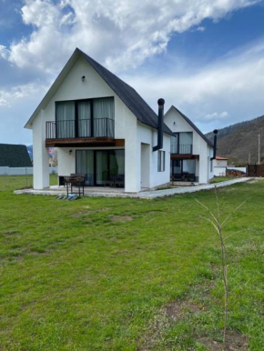 White House near Borjomi Sadgeri